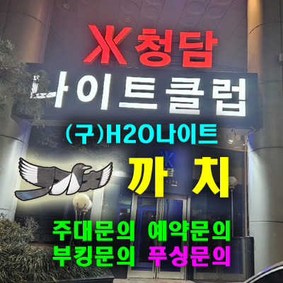 강남나이트 청담나이트