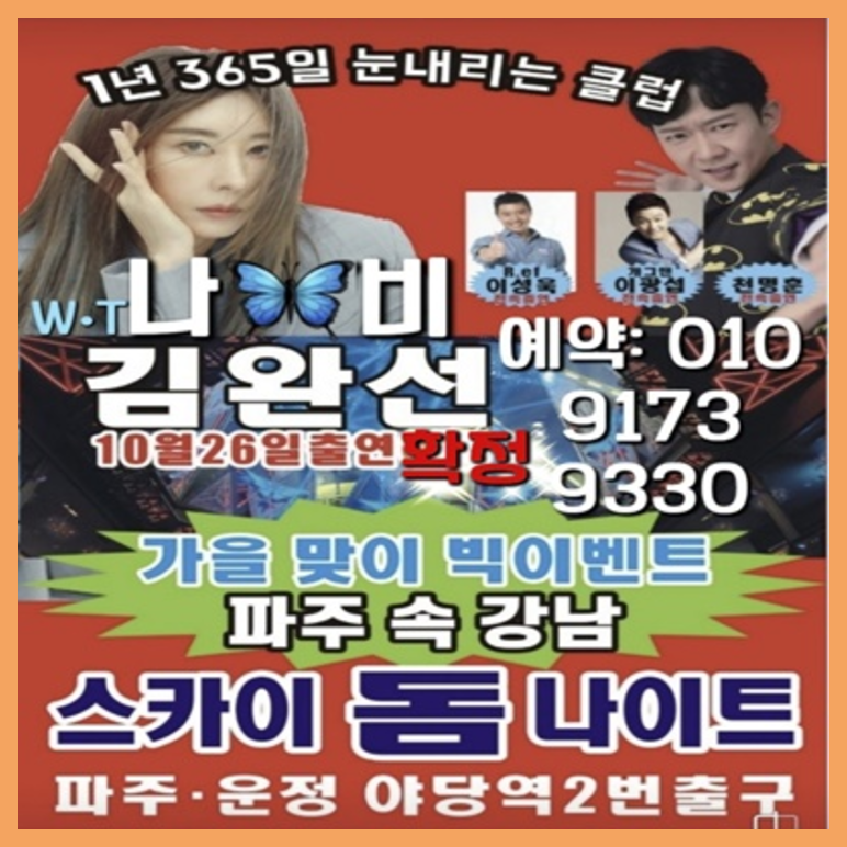 스카이돔나이트