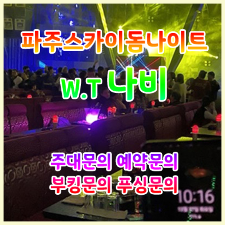 야당스카이돔나이트